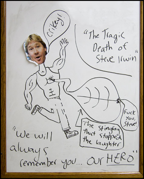 Steve Irwin